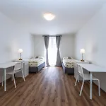 Rehorova 30 * Prag